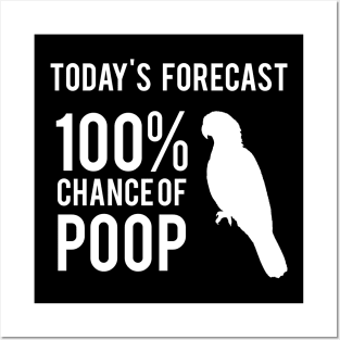 Today's Forecast 100% Chance of Poop, parrot Posters and Art